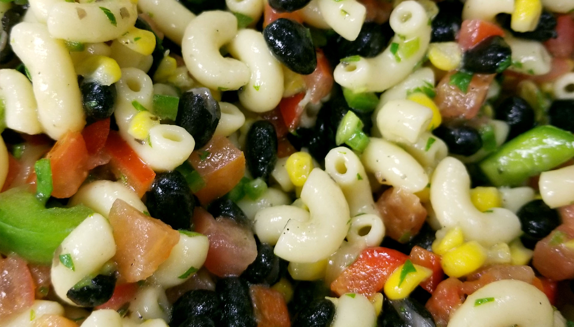 Frequently Asked Questions Healthy Meals Inc. Kansas City